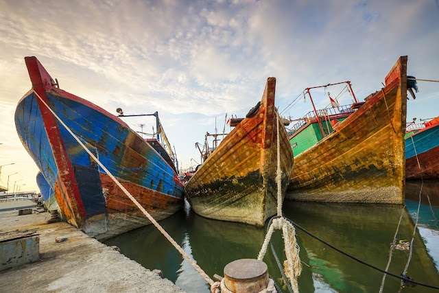 Vario-Tessar T* FE 16-35mm F4 ZA OSS Vario-Tessar T* FE 16-35mm F4 ZA OSS