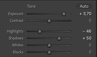 Adobe Lightroom Tutorial #1