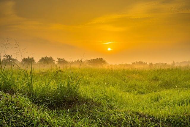 Vario-Tessar T* FE 16-35mm F4 ZA OSS Vario-Tessar T* FE 16-35mm F4 ZA OSS