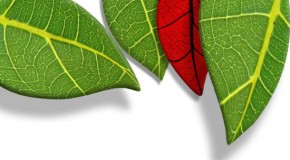 Daun 3D – Photoshop Tutorial