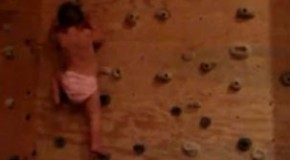 Bayi Jago Panjat Dinding